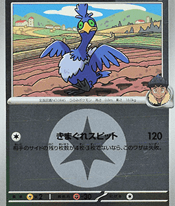 Hop's Cramorant (xm2a 143)